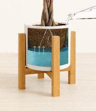 Load image into Gallery viewer, White stand:light
