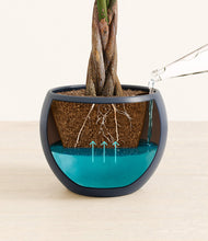 Load image into Gallery viewer, Deep Navy
