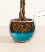 Load image into Gallery viewer, Winter Clouds
