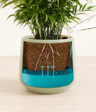 Load image into Gallery viewer, Turquoise
