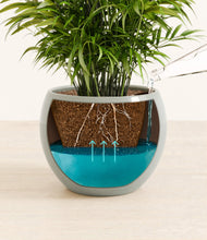 Load image into Gallery viewer, Deep Ocean
