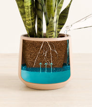 Load image into Gallery viewer, Gentle Pink
