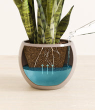 Load image into Gallery viewer, Desert Brown
