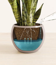 Load image into Gallery viewer, Winter Clouds
