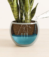 Load image into Gallery viewer, Deep Ocean
