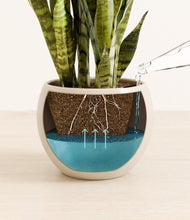 Load image into Gallery viewer, Shiny EggWhite
