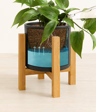 Load image into Gallery viewer, Black stand:light
