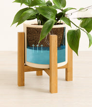 Load image into Gallery viewer, Cream stand:light
