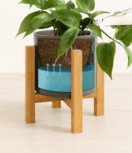 Load image into Gallery viewer, Dark Olive stand:light
