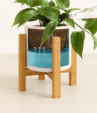 Load image into Gallery viewer, White stand:light
