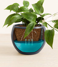 Load image into Gallery viewer, Deep Navy
