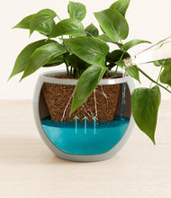 Load image into Gallery viewer, Deep Ocean
