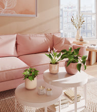 Load image into Gallery viewer, Desert Blush
