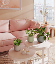 Load image into Gallery viewer, Patina
