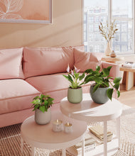 Load image into Gallery viewer, Patina
