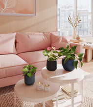 Load image into Gallery viewer, Eclipse
