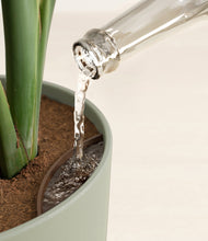 Load image into Gallery viewer, Sage Green stand:all
