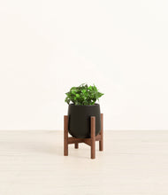 Load image into Gallery viewer, Black stand:walnut
