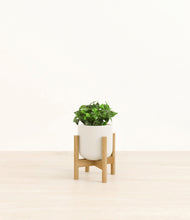 Load image into Gallery viewer, Cotton White stand:bamboo
