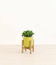 Load image into Gallery viewer, Key Lime Yellow stand:bamboo
