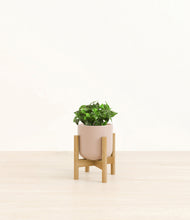 Load image into Gallery viewer, Sandy Pink stand:bamboo
