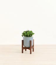 Load image into Gallery viewer, Misty Blue stand:walnut
