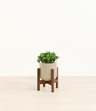 Load image into Gallery viewer, Sage Green stand:walnut
