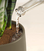 Load image into Gallery viewer, Olive stand:all
