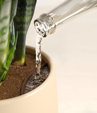 Load image into Gallery viewer, Woodland stand:all
