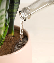 Load image into Gallery viewer, Gentle Pink stand:all
