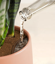 Load image into Gallery viewer, Calm Rose stand:all
