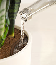 Load image into Gallery viewer, Cream stand:all
