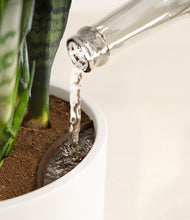 Load image into Gallery viewer, White stand:all
