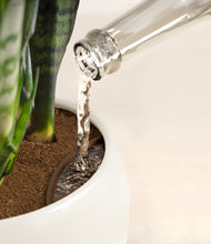 Load image into Gallery viewer, Shiny EggWhite stand:all
