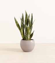 Load image into Gallery viewer, Winter Clouds*****Profile
