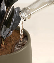 Load image into Gallery viewer, Olive stand:all
