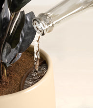 Load image into Gallery viewer, Almond Green stand:all
