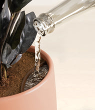 Load image into Gallery viewer, Calm Rose stand:all
