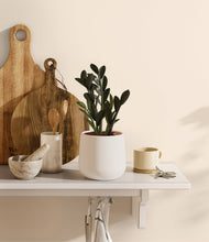 Load image into Gallery viewer, White
