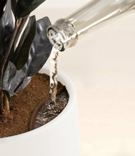 Load image into Gallery viewer, White stand:all
