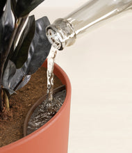 Load image into Gallery viewer, Earth Red stand:all
