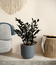 Load image into Gallery viewer, Iron Gray
