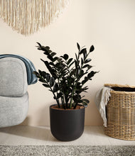 Load image into Gallery viewer, Stone Black
