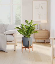 Load image into Gallery viewer, Iron Gray stand:bamboo
