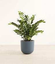 Load image into Gallery viewer, Iron Gray*****Profile
