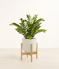 Load image into Gallery viewer, Natural Bamboo stand:bamboo
