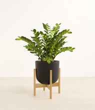 Load image into Gallery viewer, Stone Black stand:bamboo
