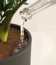 Load image into Gallery viewer, Countryside
