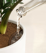 Load image into Gallery viewer, Misty Morning
