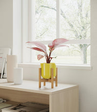Load image into Gallery viewer, Key Lime Yellow stand:bamboo
